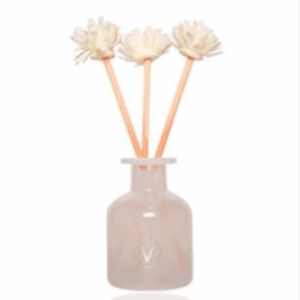 Gigi präsentiert: 150ml Raumduft mit natürlichem Diffusor - Aloe Spa mit dekorativen Blumen