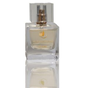 Vegas Cosmetics Haarparfüm 50ml Flakon – langanhaltender Haar-Duft mit Panthenol für Glanz und Geschmeidigkeit